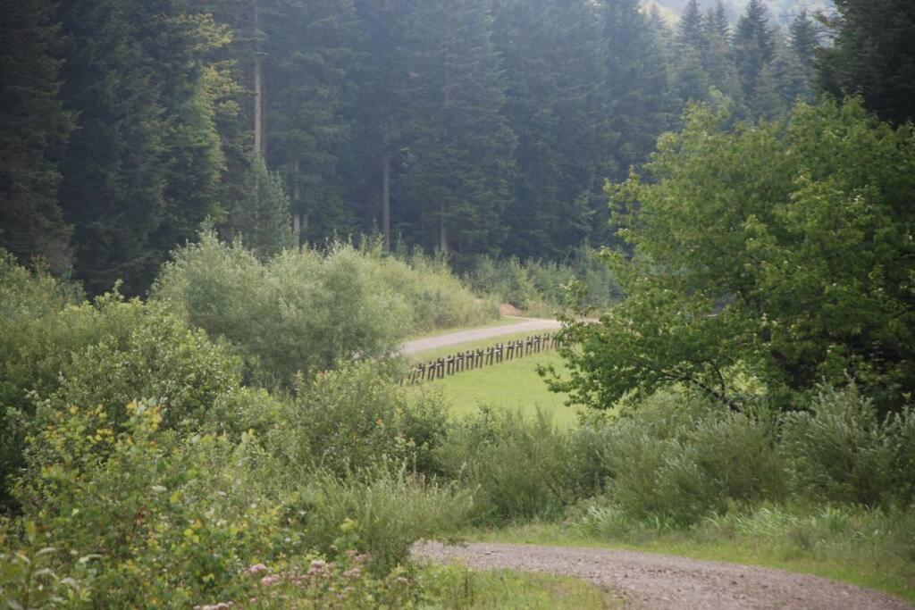 Agroturystyka Ropienka Exterior foto